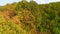 Aerial view of forest, autumn time