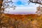 Aerial view of forest canopy with fiery red Fall colors Hitchcock conservation center Iowa USA