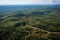 aerial view of a forest with clear-cut and reforested sections