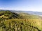 Aerial view of forest, grassland and houses, summer day.