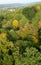 Aerial view of forest and hot air balloon shadow