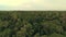 Aerial view of the forest  jungle canopy