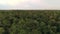 Aerial view of the forest   jungle canopy