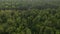 Aerial view of the forest  jungle canopy