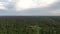 Aerial view of the forest  jungle canopy