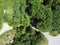 Aerial view of the forest and meadows and fields