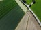 Aerial view of the forest and meadows and fields