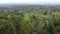 The aerial view of the forest presents a breathtaking spectacle of nature\'s grandeur