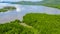 Aerial view of forest and river, mangrove forest and river