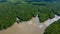 Aerial view of forest and river, mangrove forest and river