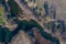 Aerial view of forest river running through swampland