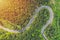 Aerial view of a forest road passing through a fir trees forest