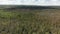 Aerial view of forest in the summer. Summer landscape. Drone shot.