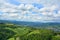 Aerial view of forest surrounding the Sanctuary of the Madonna di San Luca