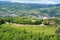 Aerial view of forest surrounding the Sanctuary of the Madonna di San Luca