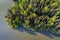 Aerial view of forest in the Swabian forest