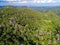 Aerial view forest tree environment forest nature background, Texture of green tree top view forest from above, pine and bamboo