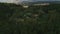 Aerial View of Forest and Trees