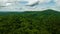 Aerial view of a forest with trees with expansive clouds in a bright blue sky