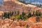 Aerial view of forests and red rock in Utah Bryce Canyon