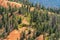 Aerial view of forests and red rock in Utah Bryce Canyon National Park