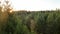 aerial view from an FPV drone flying at high speed over some mountains and green forest illuminated during a beautiful