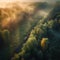 Aerial view of a freight train passing through a foggy forest. Generative Ai