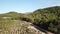 Aerial view of french vineyard in Aude, france