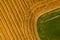 Aerial view of a freshly harvested wheat field. Beauty and patterns of a cultivated farmland from above.