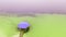 Aerial view of gazebo with purple roof, green sand and clear water. Relax concept