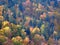 Aerial view of geen yellow reddish autumnal forest view