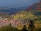 Aerial view German vine-growing landscape with towns at fall