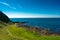 Aerial view of Giants Causeway most popular and famous landmark in Northern Ireland. Coast of Atlantic ocean and calm water