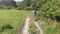 Aerial view on the girl is riding a retro bike on a dirt road in a field near the forest.