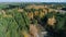 Aerial view gold birches and green tree forest with track