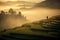 Aerial view of Golden and green terraced rice fields, beautiful China. Two Chinese farmers. Morning fog. Sunrise. High mountains.