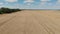 Aerial view of golden wheat on the field with blue sky and clouds. Drone flying directly above farmland close up. Top