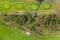 Aerial view of golf course. Drone or helicopter view of green field sand bunker