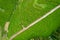 Aerial view of Gorreana, the oldest, and nowadays the only tea plantation in Europe, located in Sao Miguel island, Portugal