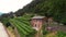 Aerial view of grape fields, flying at vineyards in the mountains of northern Italy. Summer day. Concept of production of mountain