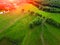 Aerial view of grassland, trees and shrubs with a network of small paths and hiking trails in spring with fresh green foliage