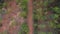 Aerial view of gravel road in rural landscape