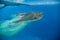 Aerial view of great barrier reef island, Australia