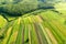 Aerial view of green agricultural fields in spring with fresh vegetation after seeding season on a warm sunny day