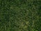 Aerial view of green corn field with row lines, top view from above