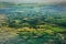 Aerial view of green cultivated fields on island of Roatan, Honduras