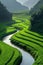 Aerial view of green farmland by river, serene digital art depicting farming landscape