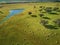 Aerial view of a green field with a lake, holm oaks and a large flock of sheep