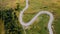 Aerial view of green fields, coniferous forest and narrow road in the Alps.