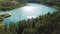 Aerial view of green forest and lake shore. Stock footage. Flying over breathtaking summer natural landscape with